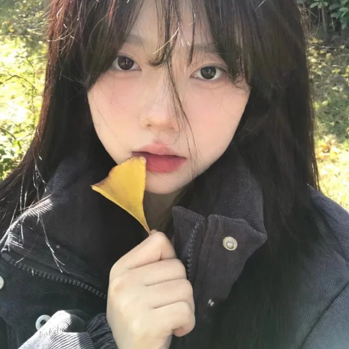 寻护者