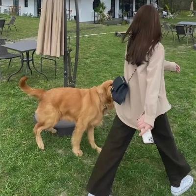 丹道至尊